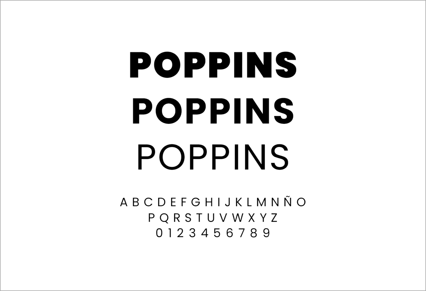 Typography and layout design for Pintail